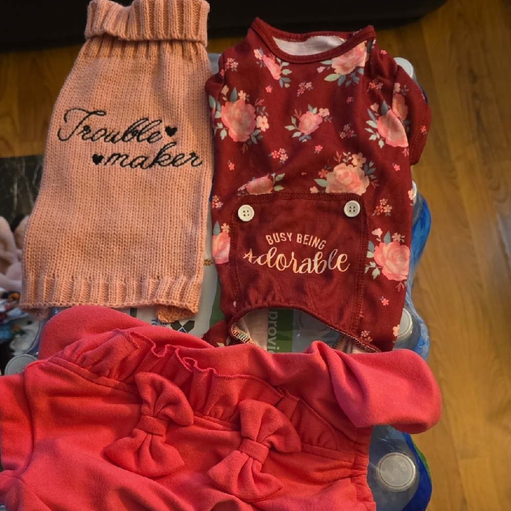 Adorable Pet Outfits Set